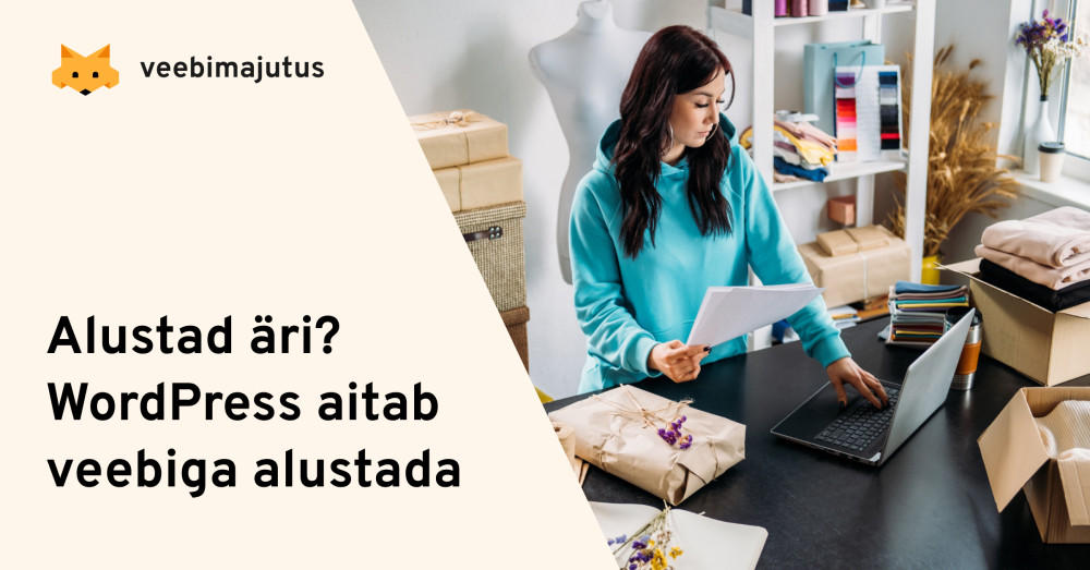 Veebimajutuse artikli päise pilt.